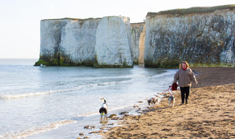 A coast for all …  paws on the prom! 
