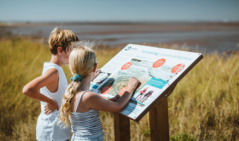 England’s Coast – alive with nature and wildlife 