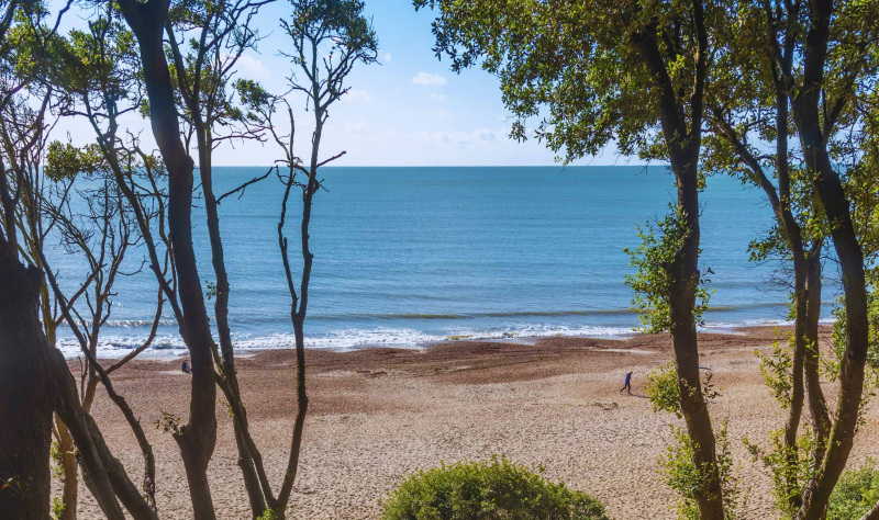 Culture, nature and mindful escapes await on the south coast 