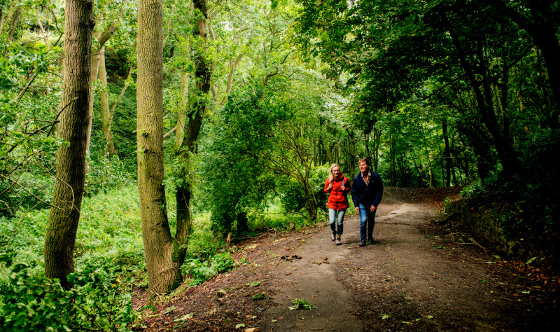 Pick coast or countryside, there are many reasons to visit East Yorkshire this Autumn! 