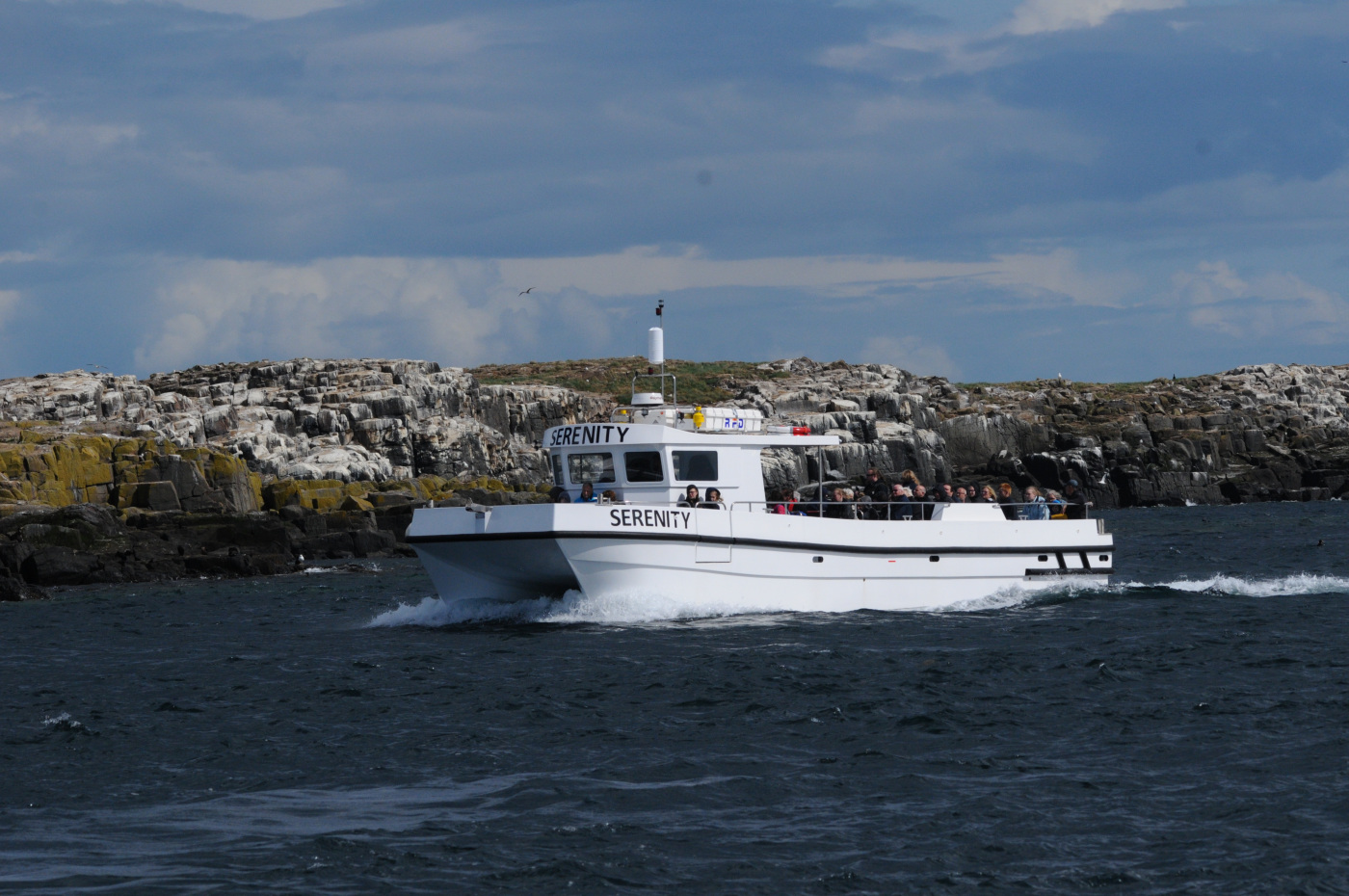 seahouses boat trips