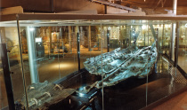 Dover Museum & Bronze Age Boat Gallery